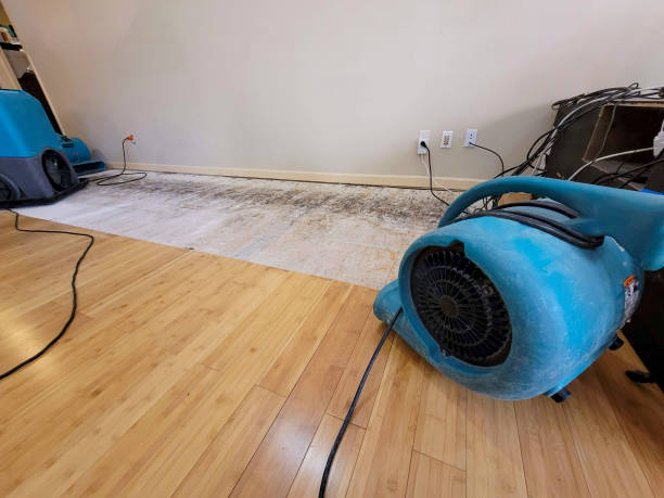 Professional Structural Drying technician working in Bluff Dale, TX